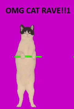 cat-rave